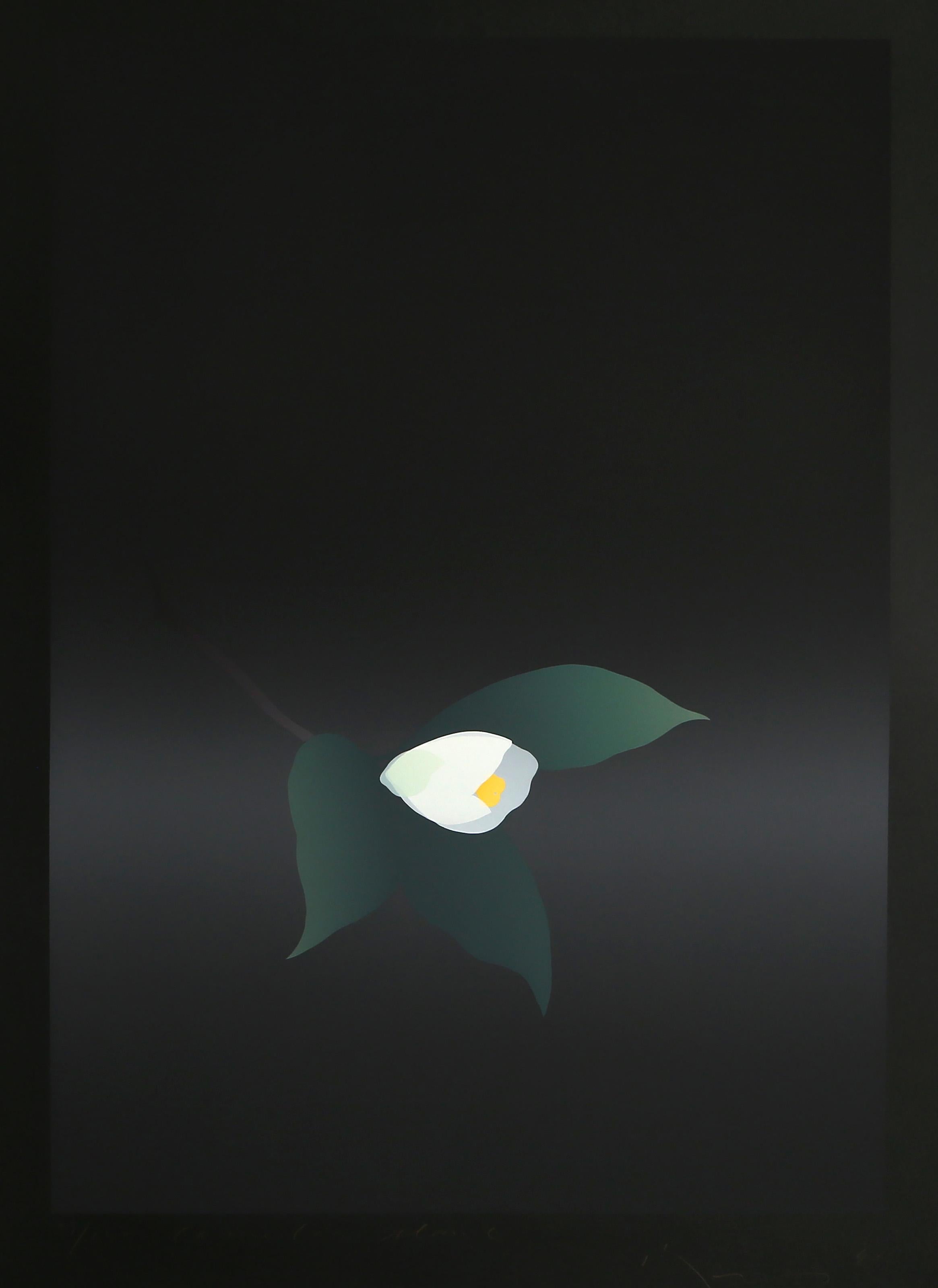 Kozo Inoue, Japanese (1937 - ) - Camellia Slant, Year:  1990, Medium:  Screenprint, signed, numbered and titled in pencil, Edition:  23/120, Image Size:  33 x 23 inches, Size:  43 x 31 in. (109.22 x 78.74 cm)