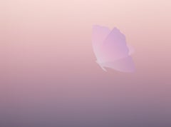 Vol au Martin, Minimalist Screenprint by Kozo Inoue