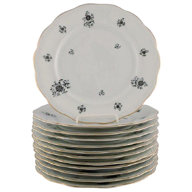 KPM, Copenhague, 12 platos de porcelana Rubens con motivos florales, años 40