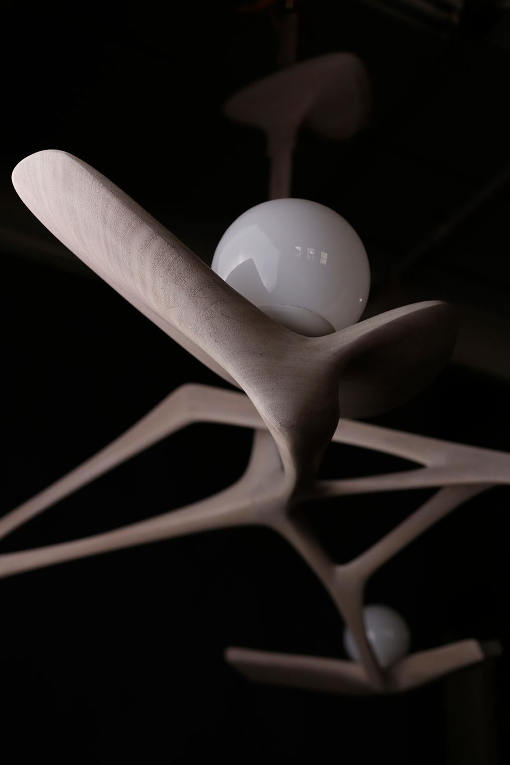 Organic Modern Krasnogorov Studio, 