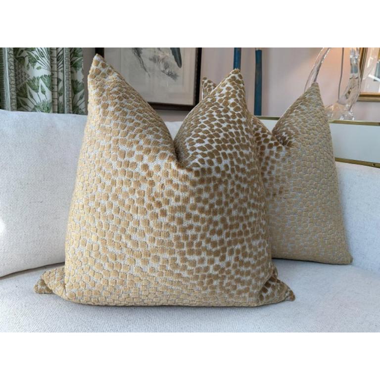 L'incantevole tessuto intrecciato con velluto in rilievo, 