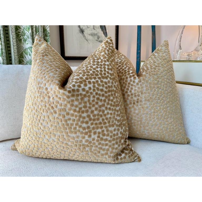 Americano Kravet Velluto a rilievo 