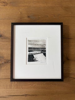 Antique Lands III, Black and White, Wetlands Landscape, Framed Monotype, 1/1