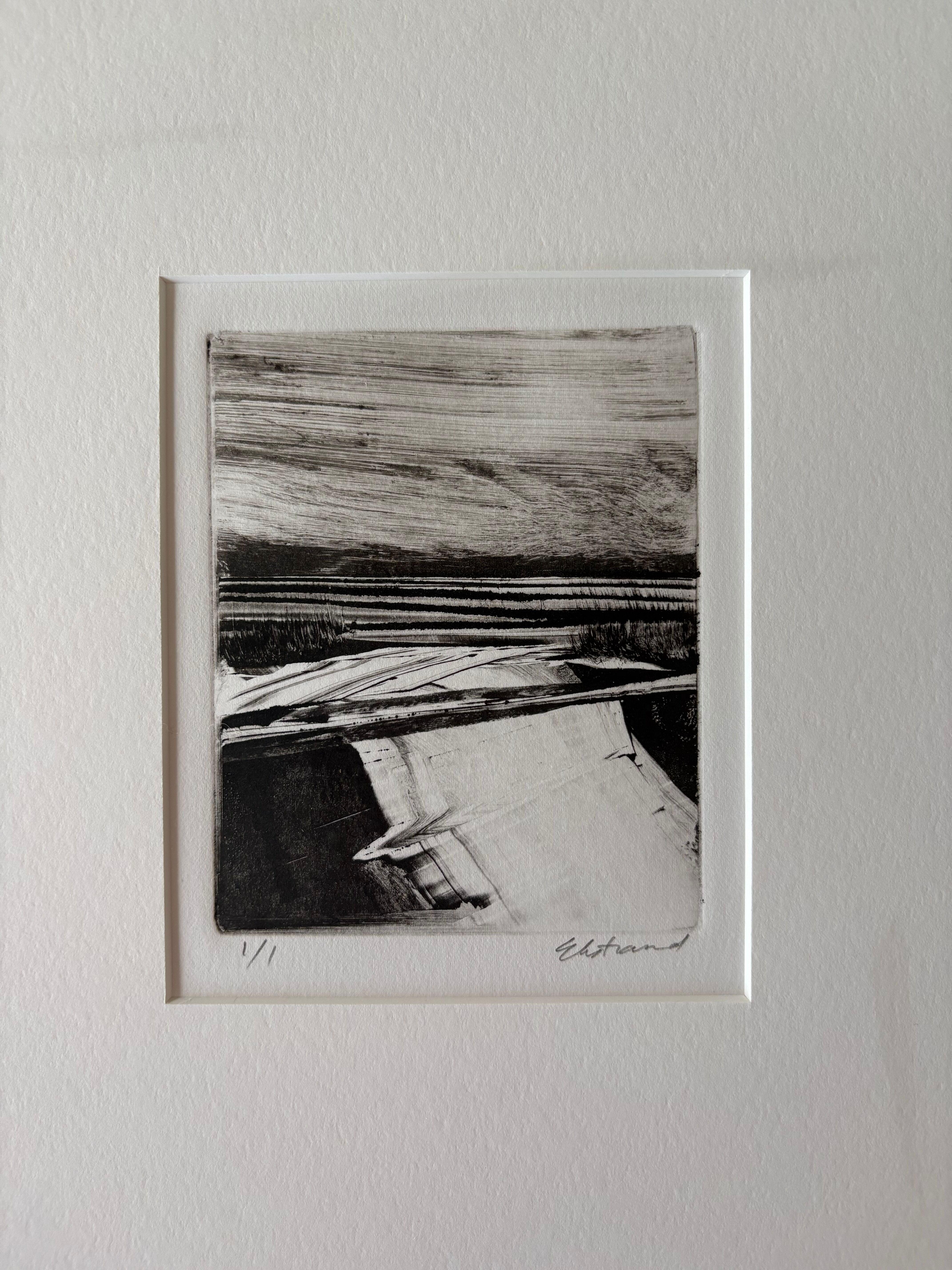 Antique Lands III, Black and White, Wetlands Landscape, Framed Monotype, 1/1 For Sale 2