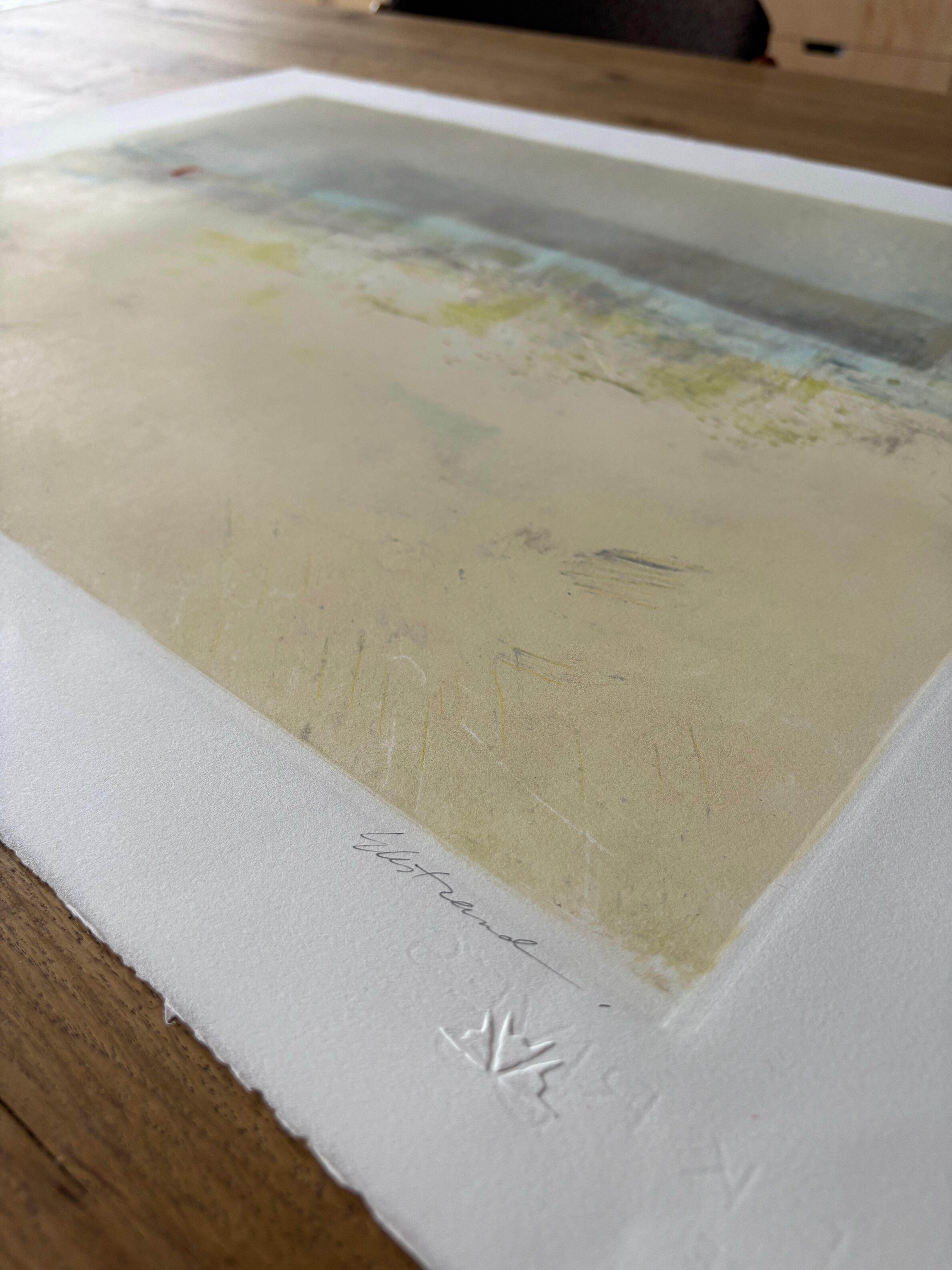 Coulee Waters Edge, Abstrakte Sumpflandschaft Monotypie-Druck, 2024 im Angebot 4