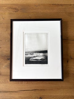 Homeground Suite #11, Wetlands Landscape, Black and White, Framed Montotype, 1/1