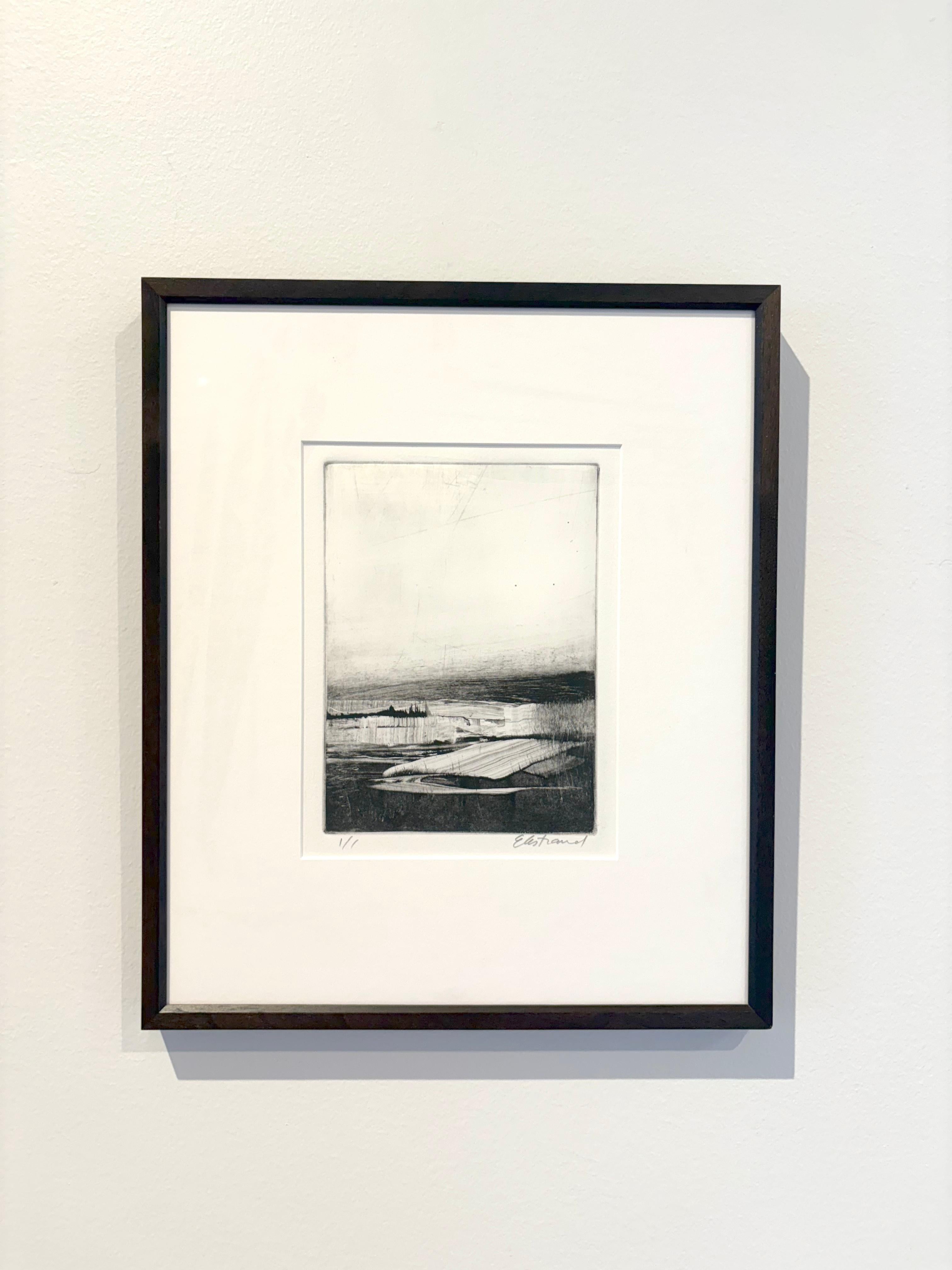 Homeground Suite #11, Sumpflandschaft, schwarz-weiß, gerahmte Montotypie, 1/1 (Schwarz), Landscape Print, von Kris Ekstrand