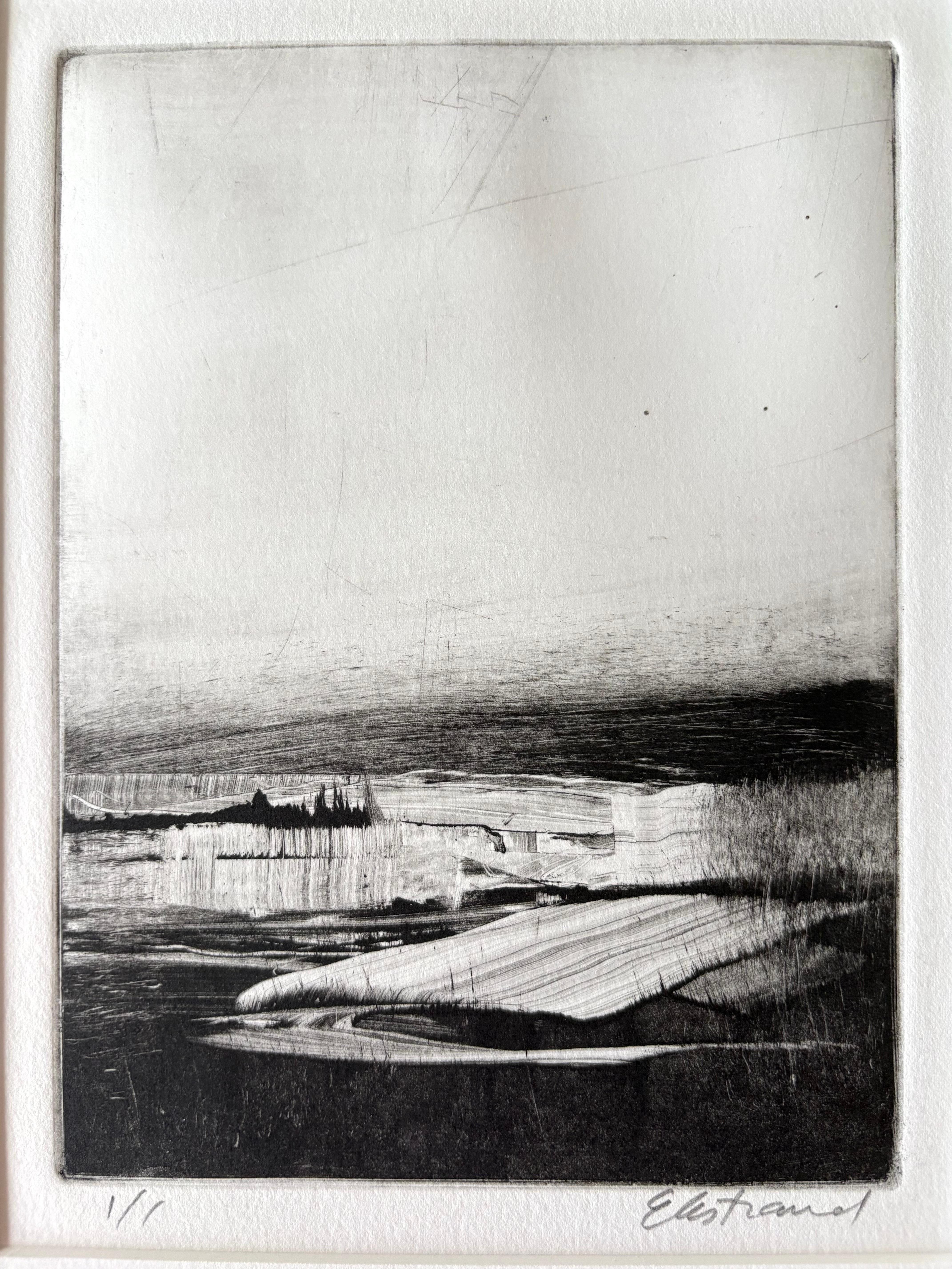 Homeground Suite #11, Sumpflandschaft, schwarz-weiß, gerahmte Montotypie, 1/1 im Angebot 1