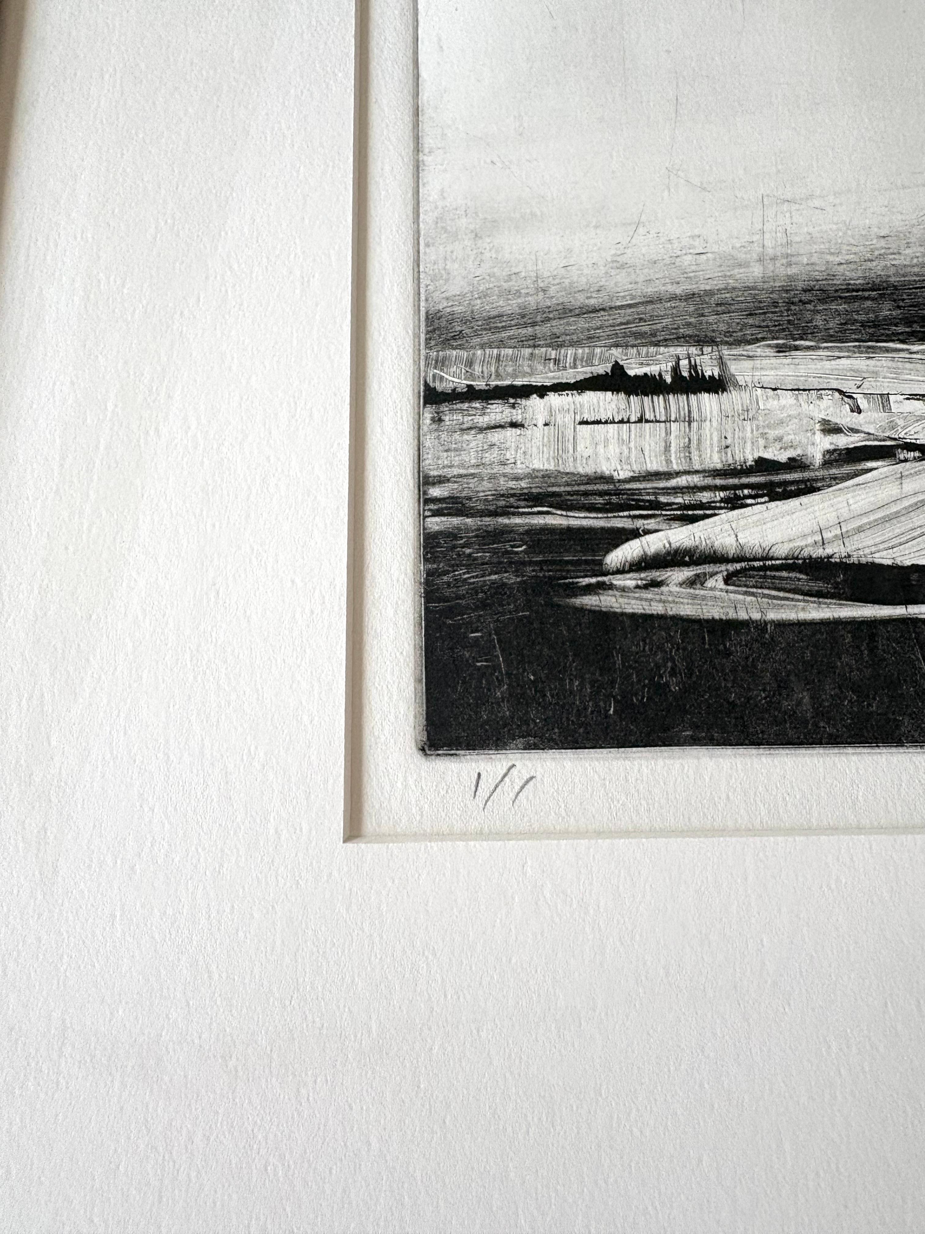 Homeground Suite #11, Sumpflandschaft, schwarz-weiß, gerahmte Montotypie, 1/1 im Angebot 2