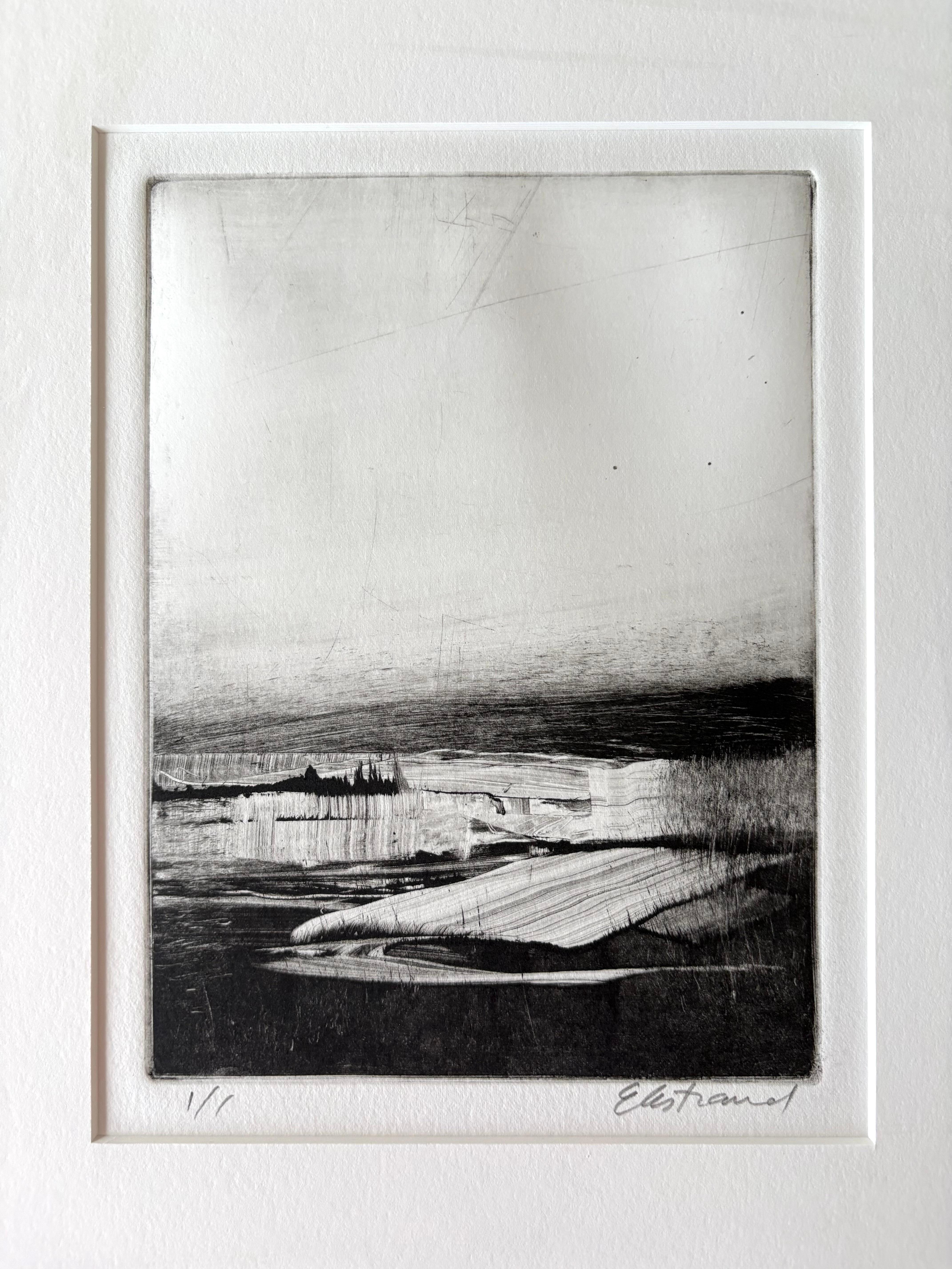 Homeground Suite #11, Sumpflandschaft, schwarz-weiß, gerahmte Montotypie, 1/1 im Angebot 4