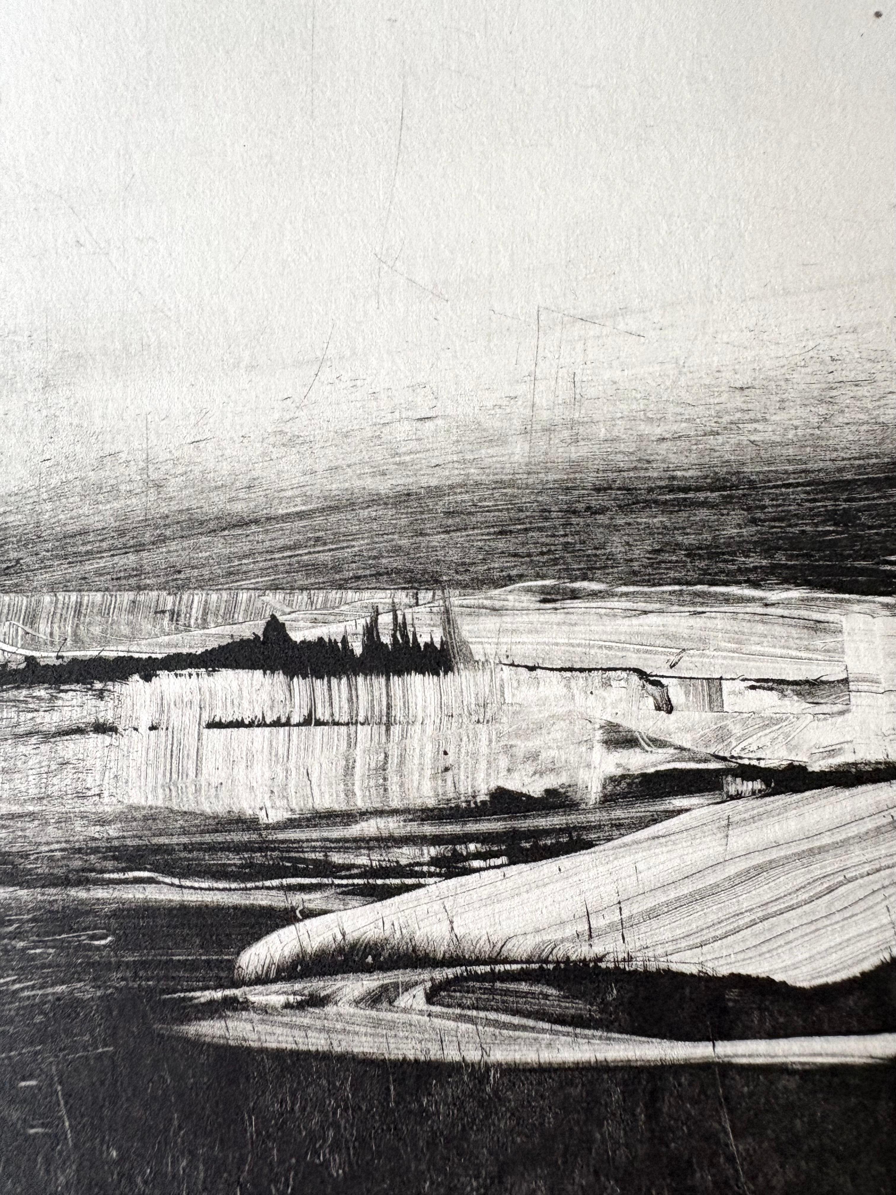 Homeground Suite #11, Sumpflandschaft, schwarz-weiß, gerahmte Montotypie, 1/1 im Angebot 5