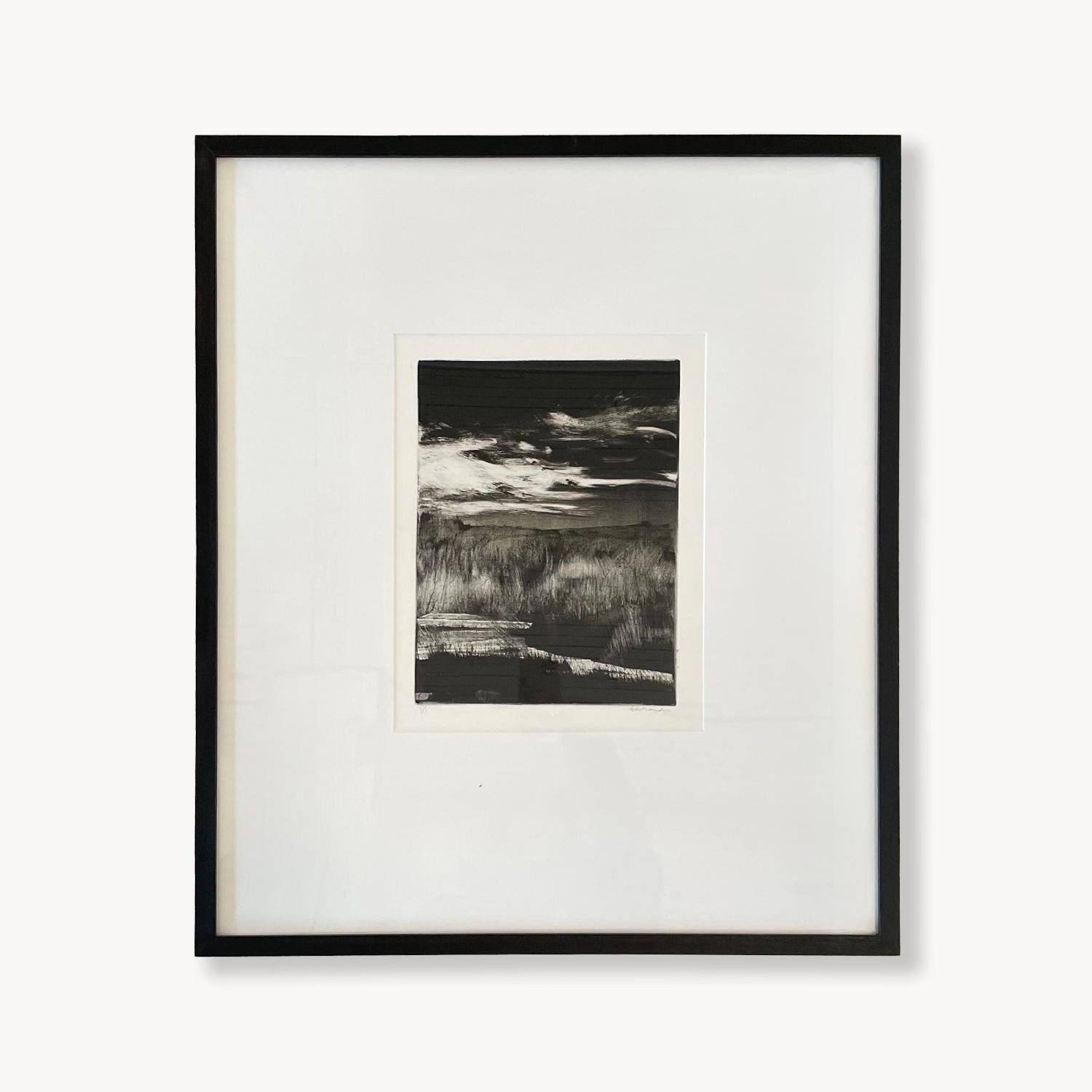 Homeground Suite #11, Sumpflandschaft, schwarz-weiß, gerahmte Montotypie, 1/1