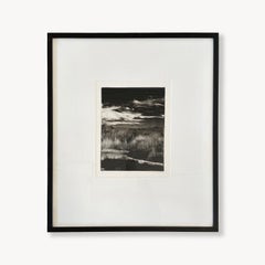 Homeground Suite #11, Sumpflandschaft, schwarz-weiß, gerahmte Montotypie, 1/1