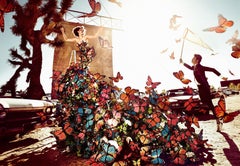 Butterfly - surreal fairy tale butterfly dress, fine art photography, 2010