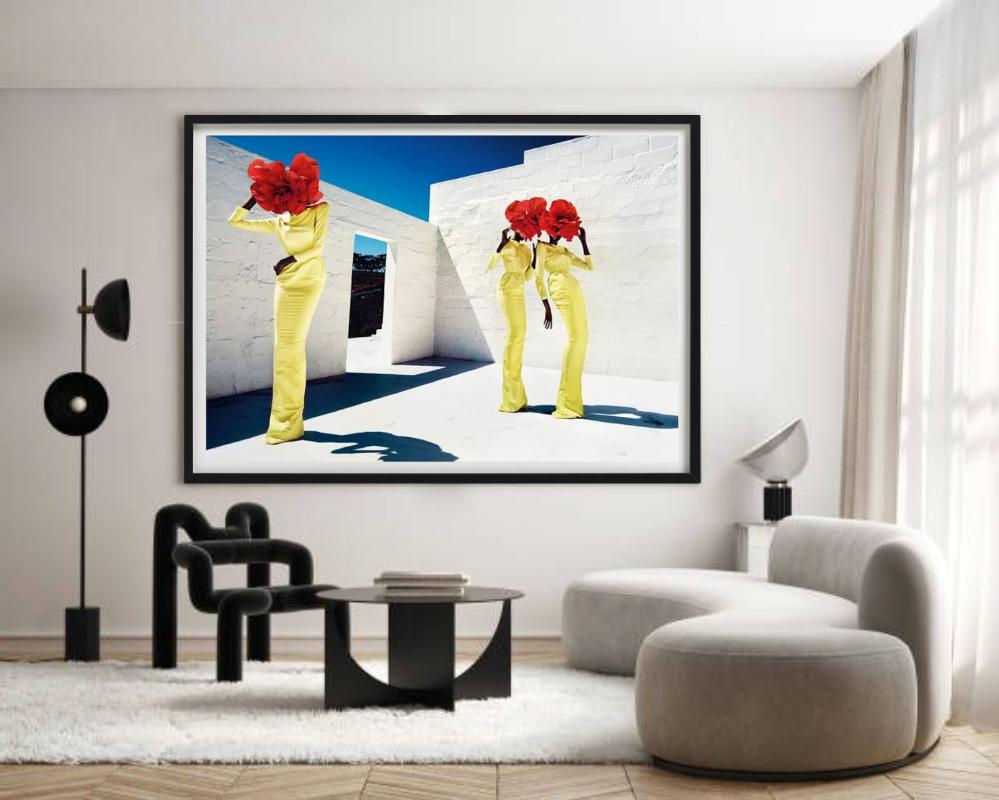 Blumenköpfe, Kunstfotografie der bildenden Kunst – Photograph von Kristian Schuller