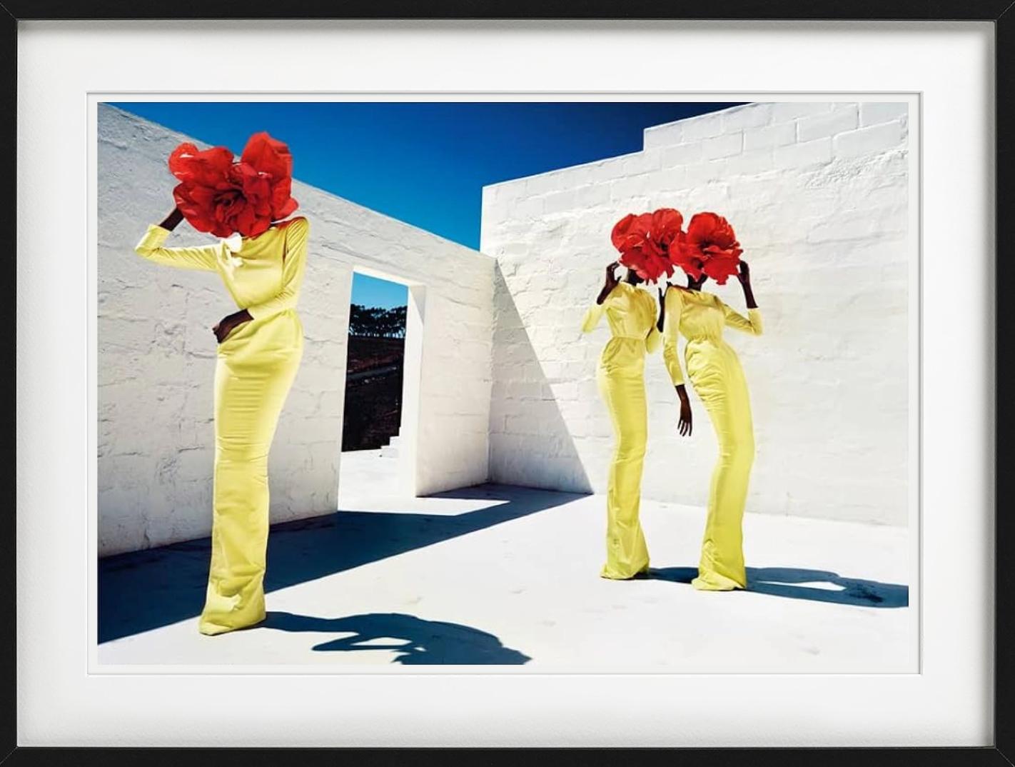 Blumenköpfe, Kunstfotografie der bildenden Kunst (Zeitgenössisch), Photograph, von Kristian Schuller