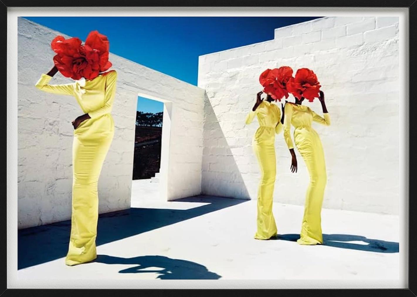 Blumenköpfe, Kunstfotografie der bildenden Kunst (Beige), Color Photograph, von Kristian Schuller