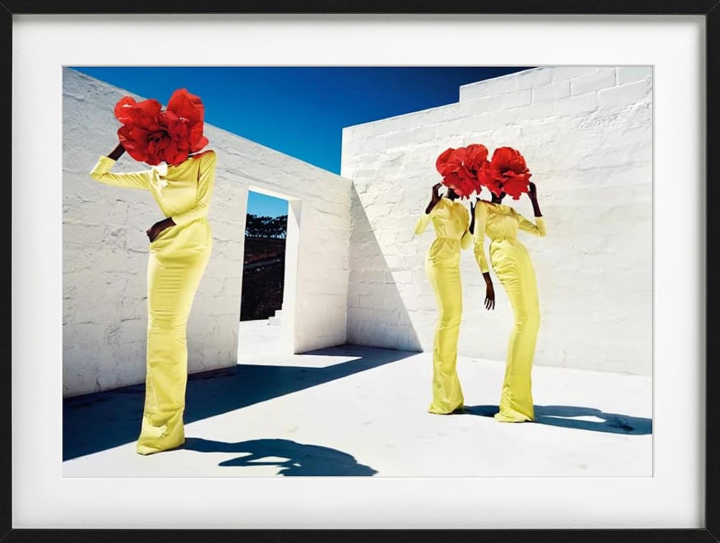 Blumenköpfe, Kunstfotografie der bildenden Kunst im Angebot 1