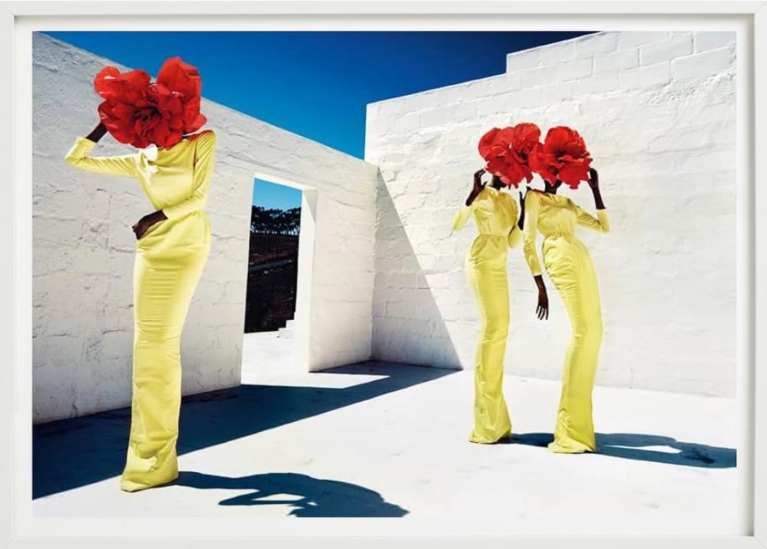 Blumenköpfe, Kunstfotografie der bildenden Kunst im Angebot 2