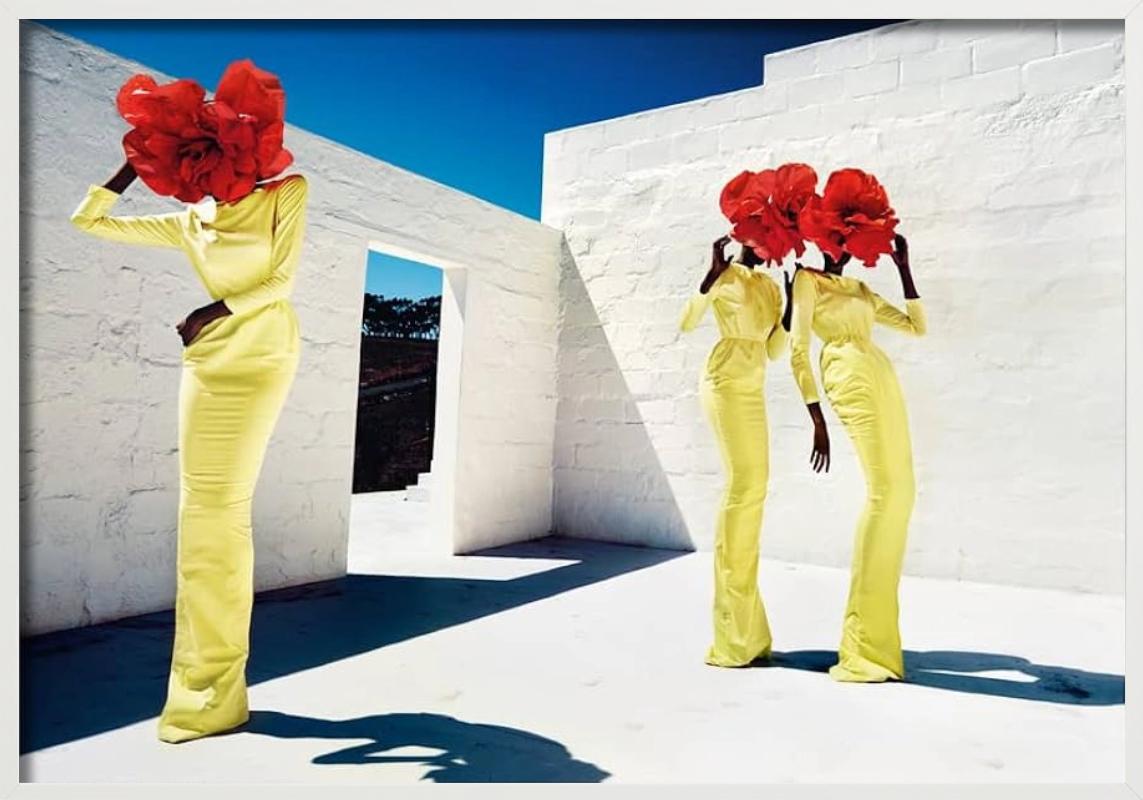 Blumenköpfe, Kunstfotografie der bildenden Kunst im Angebot 3
