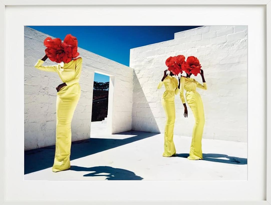 Blumenköpfe, Kunstfotografie der bildenden Kunst im Angebot 4