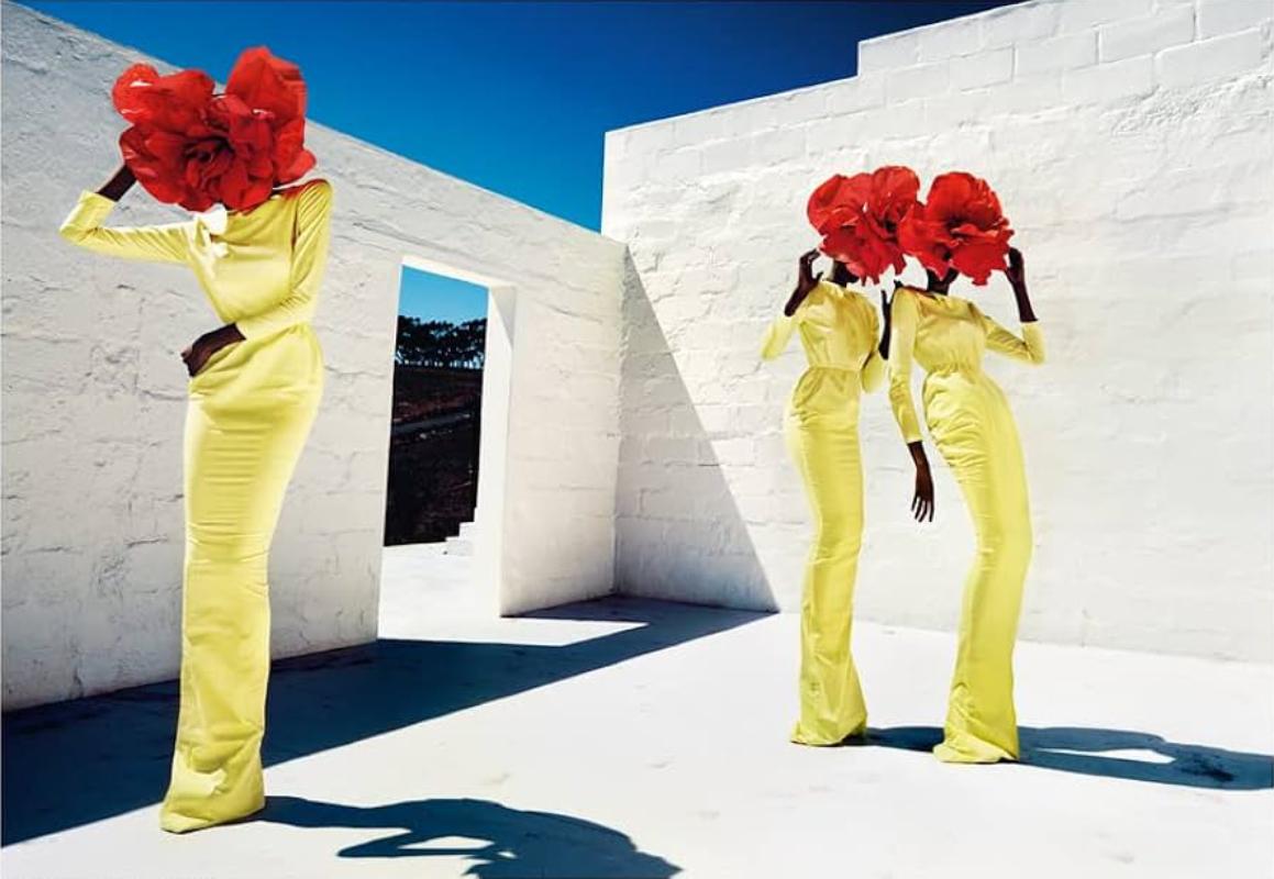 Kristian Schuller Color Photograph – Blumenköpfe, Kunstfotografie der bildenden Kunst