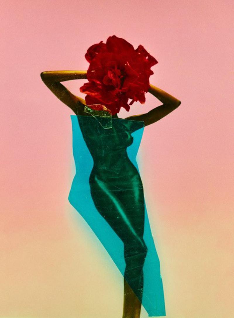 Flowerhead - Surreal Floral Fashion Photograph in Red and Green, Fine Art