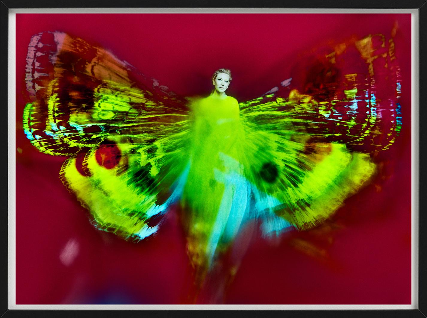 Kristian Schuller, Cate Blanchett, Schmetterlingsfotografie 2022 im Angebot 1