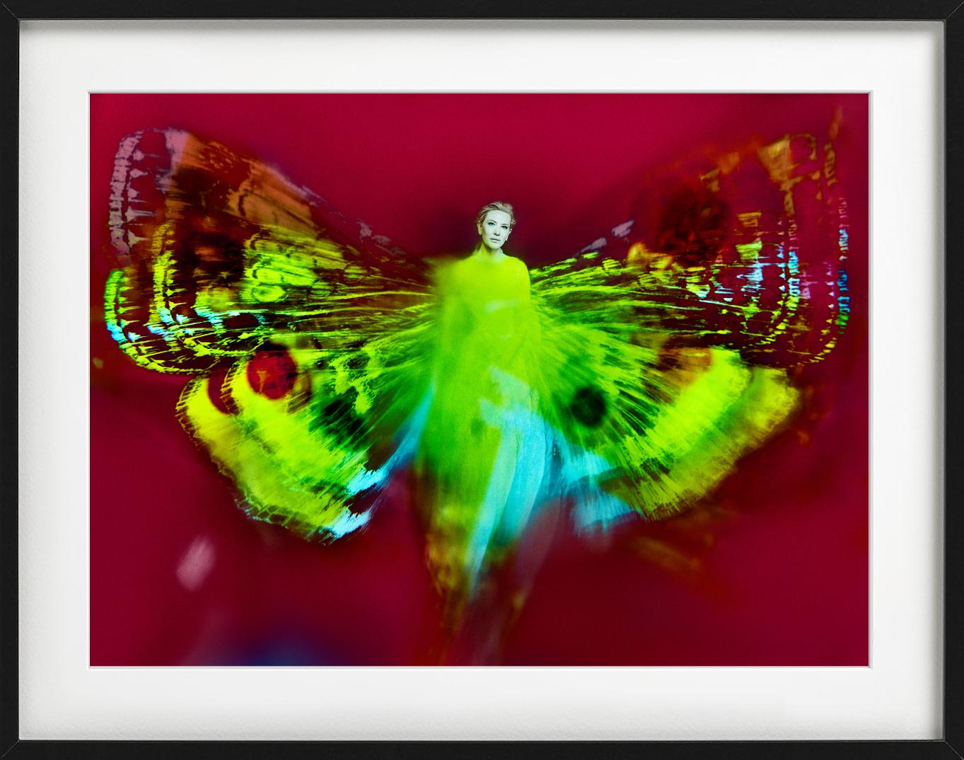 Kristian Schuller, Cate Blanchett, Schmetterlingsfotografie 2022 im Angebot 3