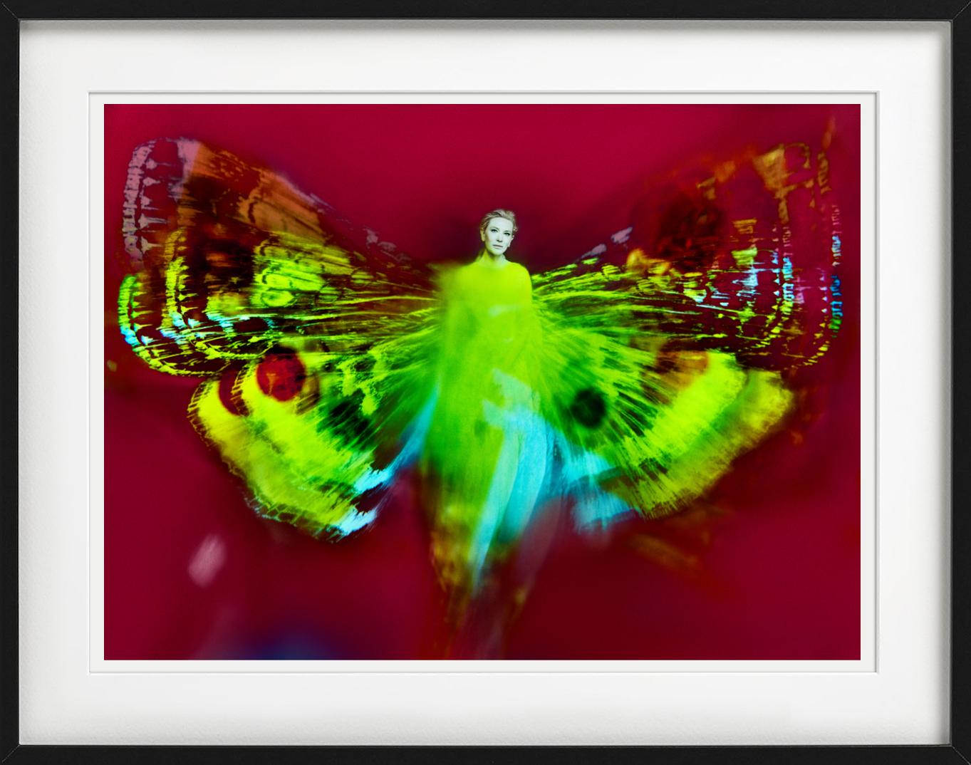 Kristian Schuller, Cate Blanchett, Schmetterlingsfotografie 2022 im Angebot 4