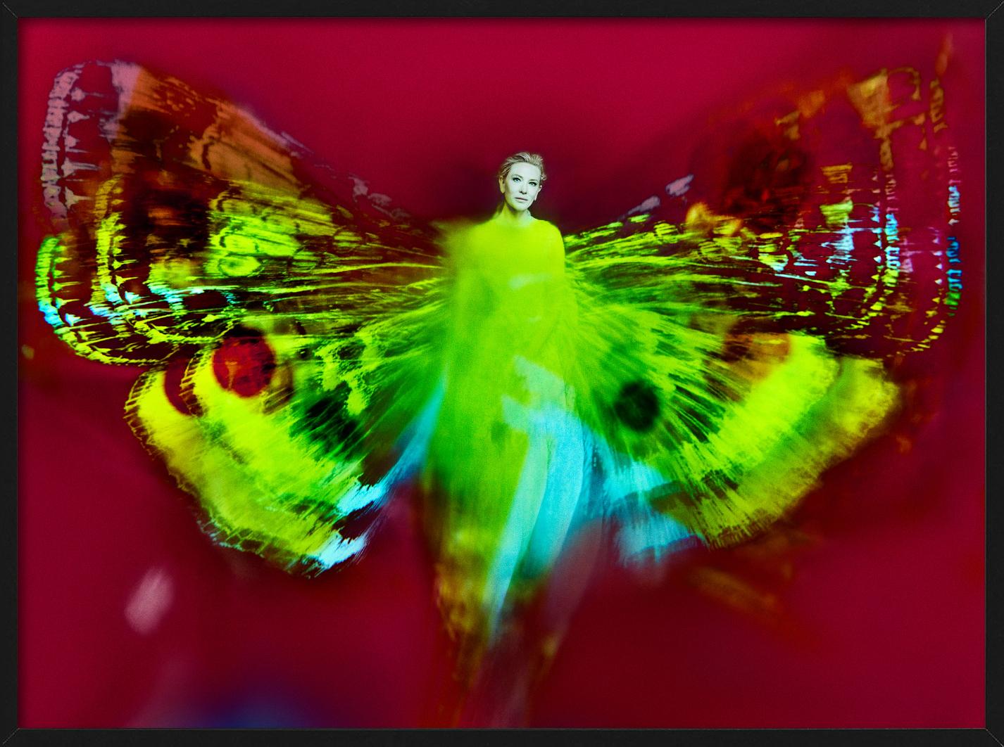 Kristian Schuller, Cate Blanchett, Schmetterlingsfotografie 2022 im Angebot 5