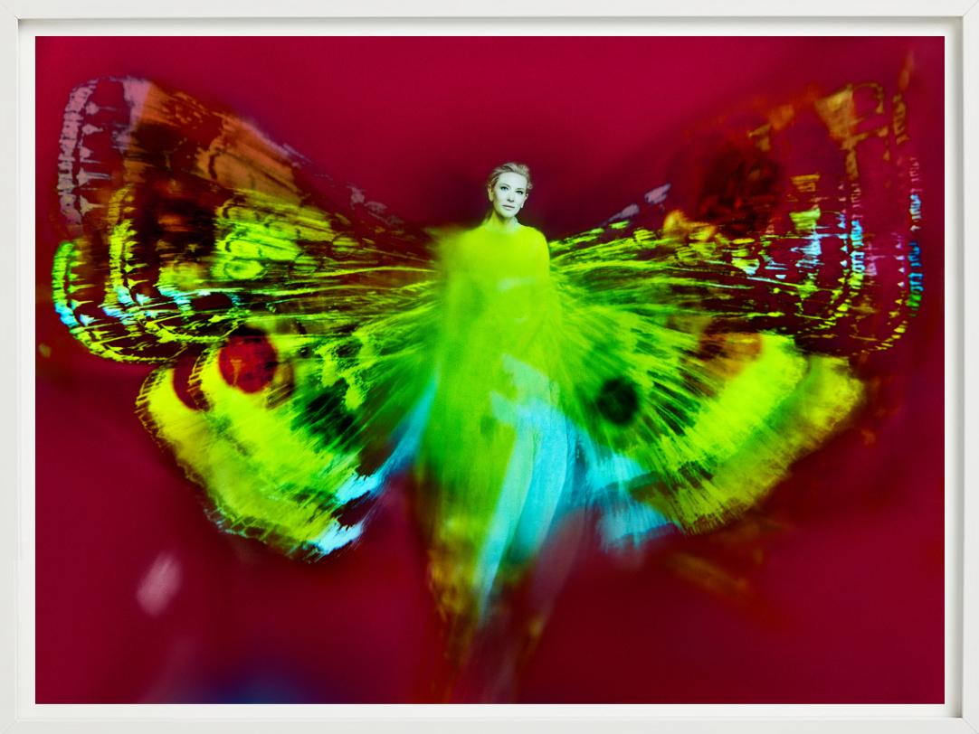 Kristian Schuller, Cate Blanchett, Schmetterlingsfotografie 2022 im Angebot 6