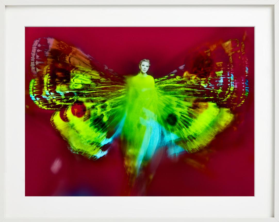 Kristian Schuller, Cate Blanchett, Schmetterlingsfotografie 2022 im Angebot 7