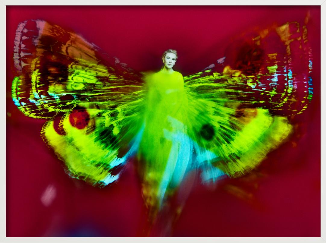 Kristian Schuller, Cate Blanchett, Schmetterlingsfotografie 2022 im Angebot 8