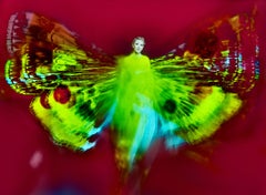 Kristian Schuller, Cate Blanchett, Butterfly Fine Art Photography 2022