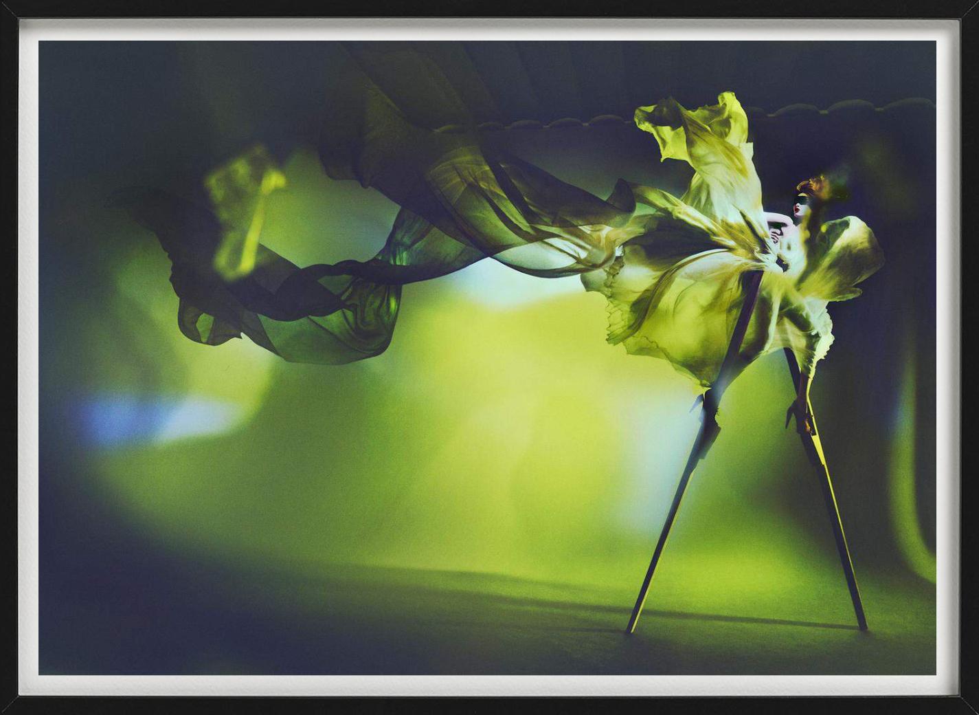 Kristian Schuller, Libelle, Kunstfotografie im Angebot 1