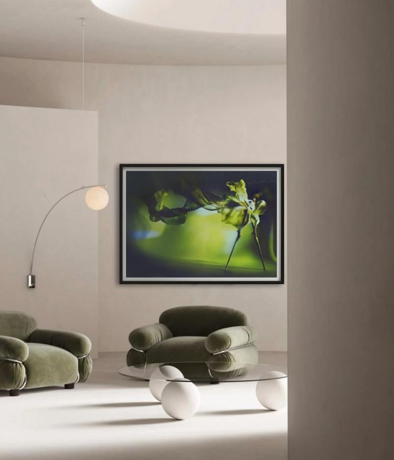 Kristian Schuller, Libelle, Kunstfotografie im Angebot 2