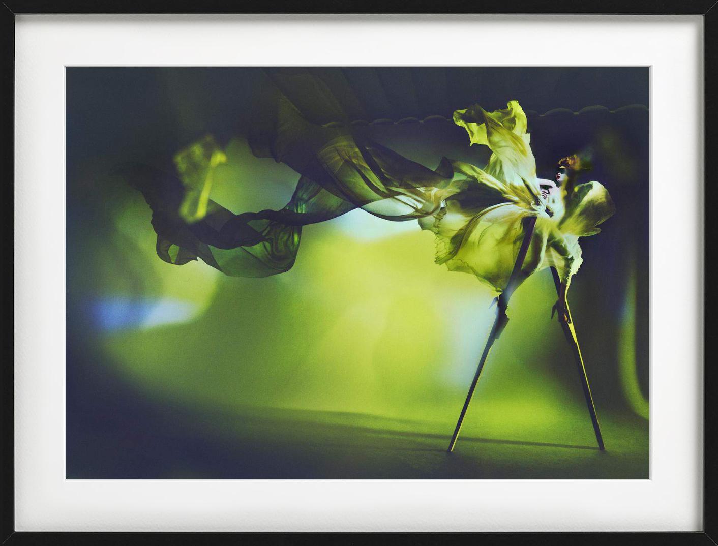 Kristian Schuller, Libelle, Kunstfotografie im Angebot 3