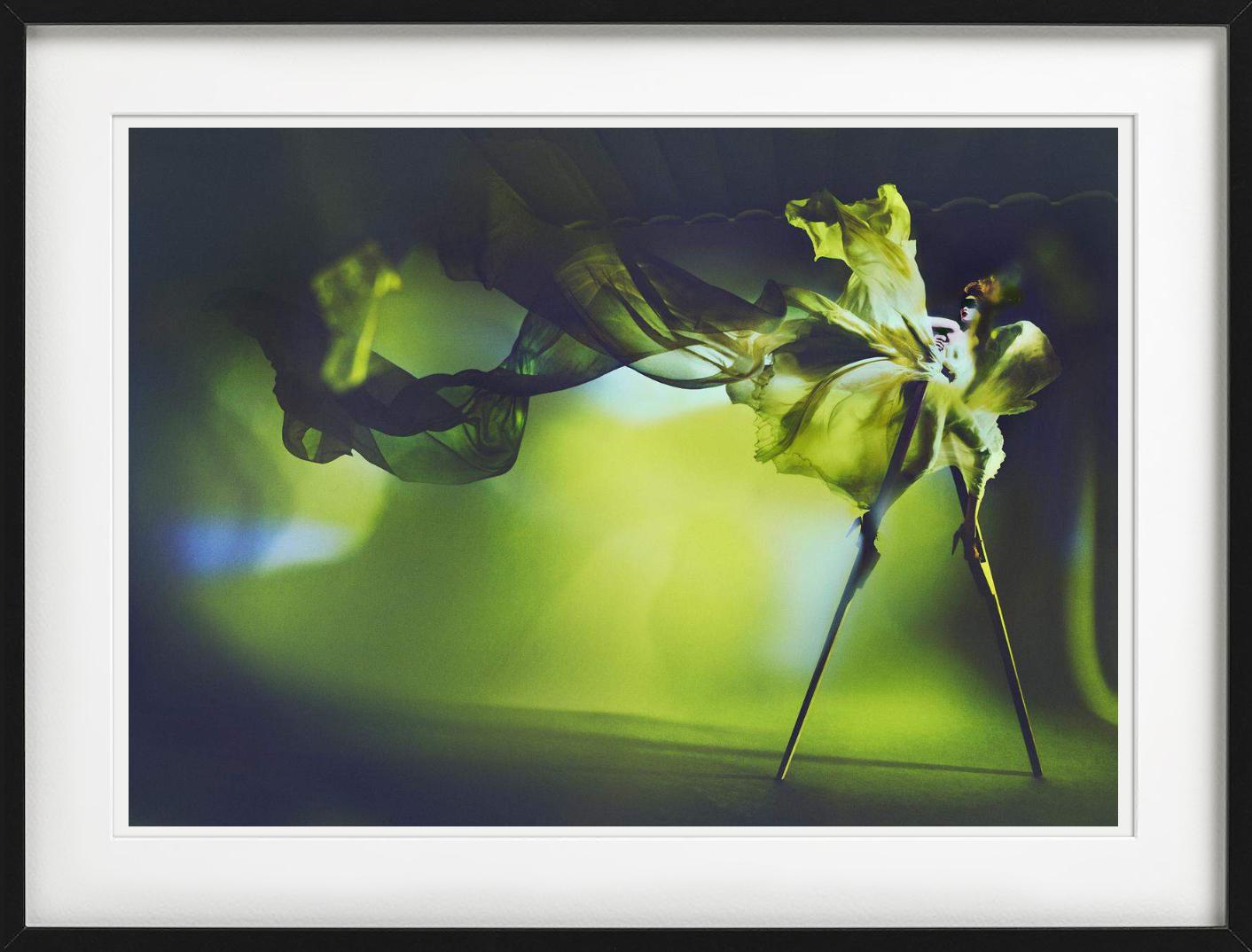 Kristian Schuller, Libelle, Kunstfotografie im Angebot 4