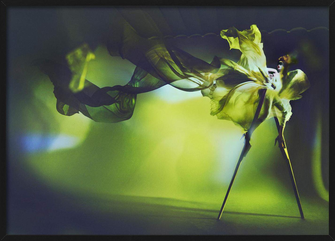 Kristian Schuller, Libelle, Kunstfotografie im Angebot 5