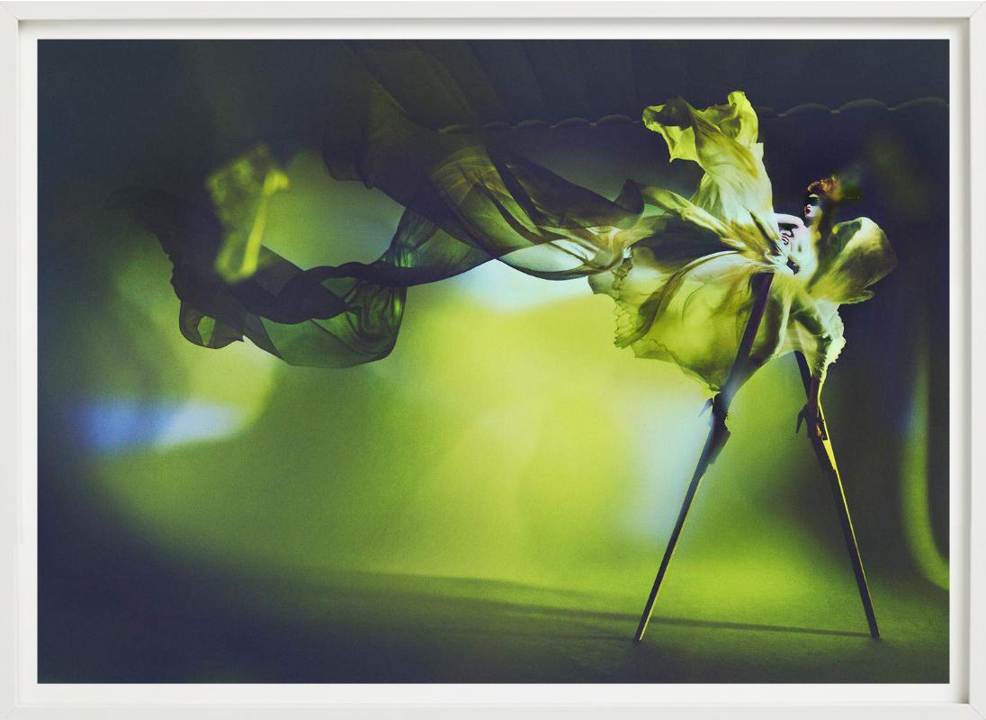 Kristian Schuller, Libelle, Kunstfotografie im Angebot 6