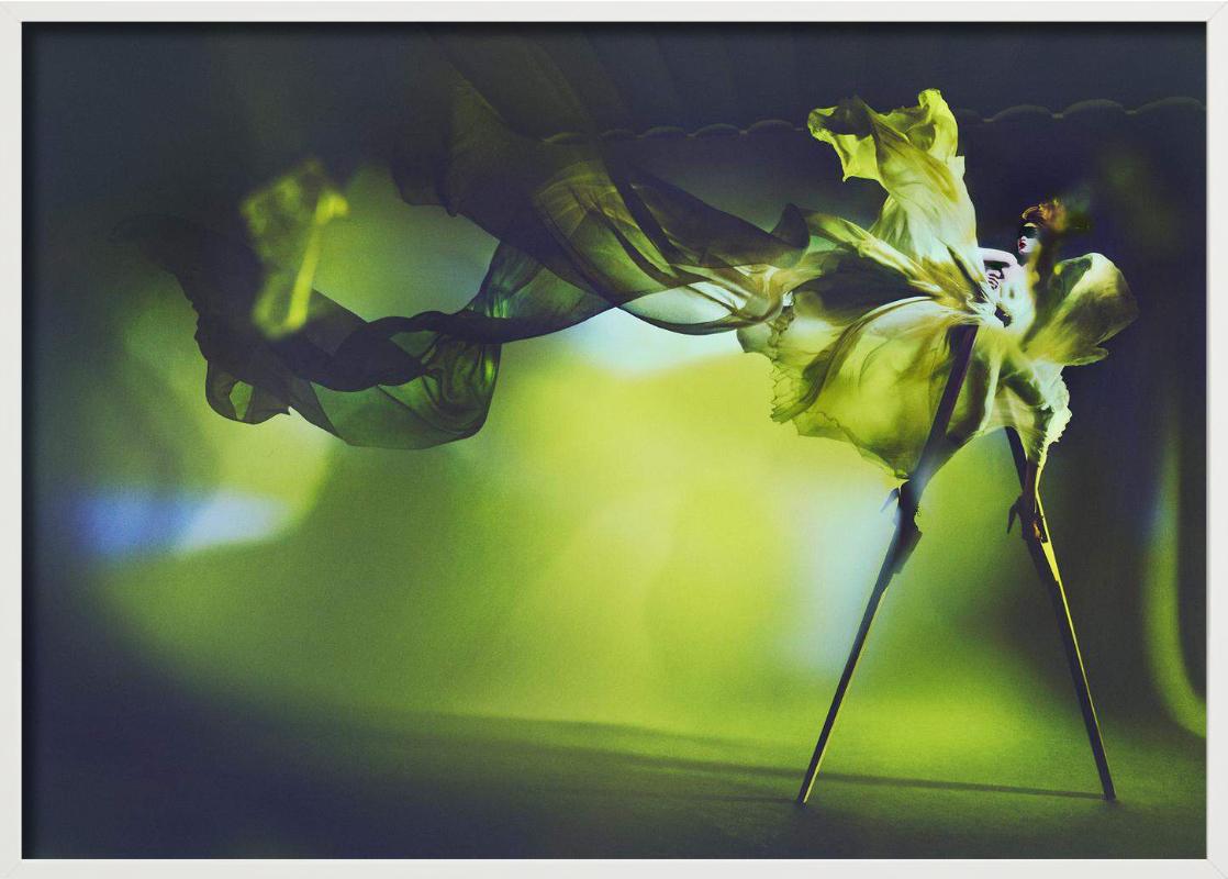 Kristian Schuller, Libelle, Kunstfotografie im Angebot 7