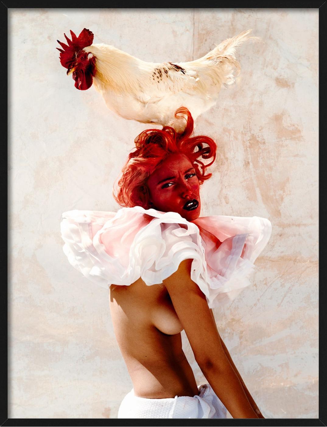 Kristian Schuller, Tales for Oscar, Animal Farm, Fine Art Photography 2014 For Sale 5