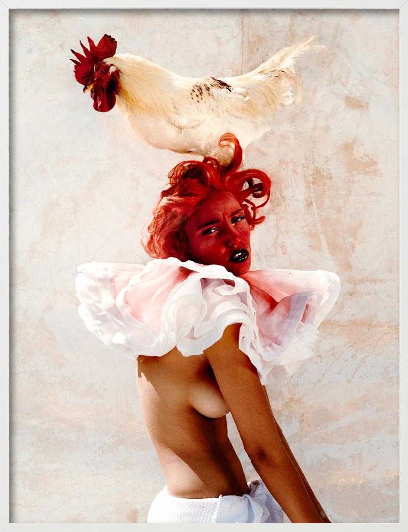 Kristian Schuller, Tales for Oscar, Animal Farm, Fine Art Photography 2014 For Sale 6
