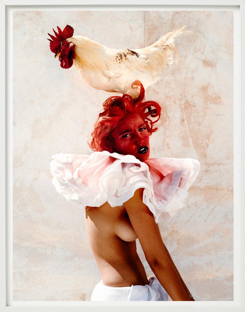 Kristian Schuller, Tales for Oscar, Animal Farm, Fine Art Photography 2014 For Sale 8