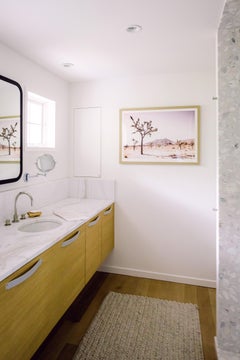 California Desert - Rose