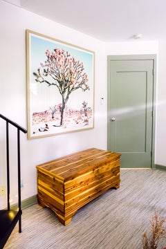 Pastel Desert - California