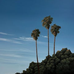 Golden Palms (L.A.)