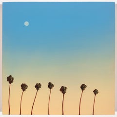 Palmeras de Hollywood Forever