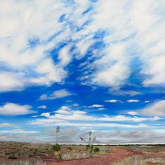 Used West Texas Plains